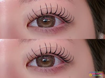 WOLTOKYO Ikebukuro | Eyelash extensions | Flat lash | IkebukuroEyelash extensions &healthy andoherushi×LED 120 by mizuki