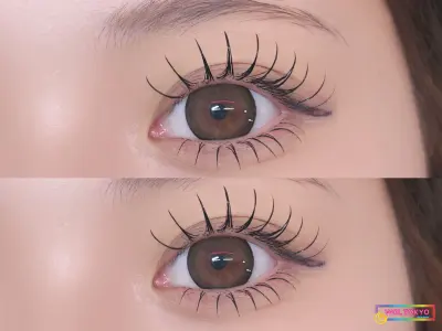 WOLTOKYO Ikebukuro | Eyelash extensions | Flat lash | IkebukuroEyelash extensions 上下 by mizuki