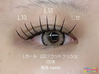 WOLTOKYO 渋谷店 渋谷マツエク ワンホンマツエク ワンホンマツエク×LEDエクステ|華やか目元 担当kaede WOLTOKYO 渋谷店 渋谷マツエク ワンホンマツエク ワンホンマツエク×LEDエクステ|華やか目元 担当kaede