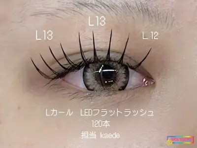 WOLTOKYO 시부야점 | 속눈썹 연장 | 플랫 래시 | 시부야속눈썹 연장 大人可愛i× |pachiri目元 by kaede WOLTOKYO 시부야점 | 속눈썹 연장 | 플랫 래시 | 시부야속눈썹 연장 大人可愛i× |pachiri目元 by kaede