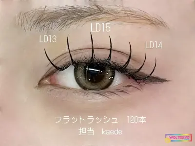 WOLTOKYO 시부야점 | 속눈썹 연장 | Hot Pepper 게재 | LD14.15mm by ホットペッパー WOLTOKYO 시부야점 | 속눈썹 연장 | Hot Pepper 게재 | LD14.15mm by ホットペッパー